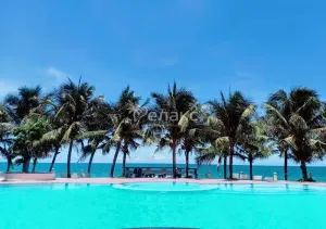 🌴 Откройте для себя чудеса Вьетнама!
