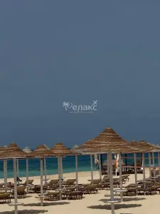 🏖️ ЭльАламейн: Египетские Мальдивы с прямым перелётом из Москвы