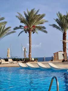 ✨ Sharm Club Beach Resort 4 — жемчужина ШармЭльШейха