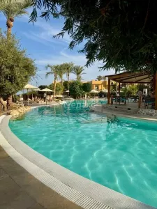 ☀️ Египетское лето перед Новым годом: тур в The Grand Hotel Sharm El Sheikh 5